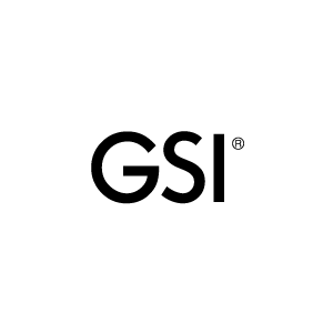 gsi logo
